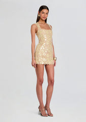 Elainy Sequin Lace Dress