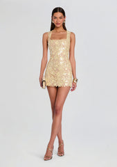 Elainy Sequin Lace Dress