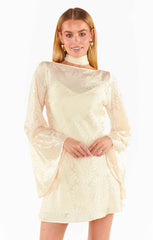 Sarah Mini Dress ~ Cream Daisy Burnout