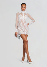 Faylin Lace Dress