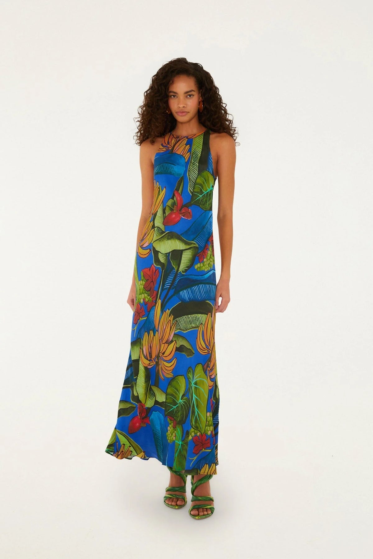 Blue Banana Grapes Sleeveless Maxi Dress