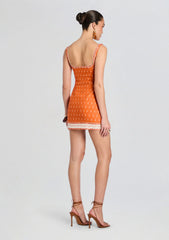 Jordan Mini Dress