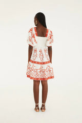 Red Porcelain Garden  Mini Dress